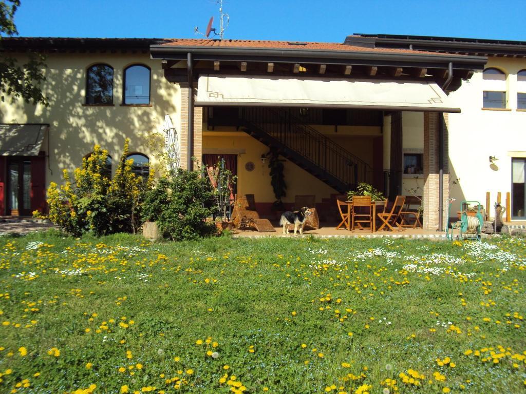 Agriturismo Ca' Del Ferro Zevio Buitenkant foto