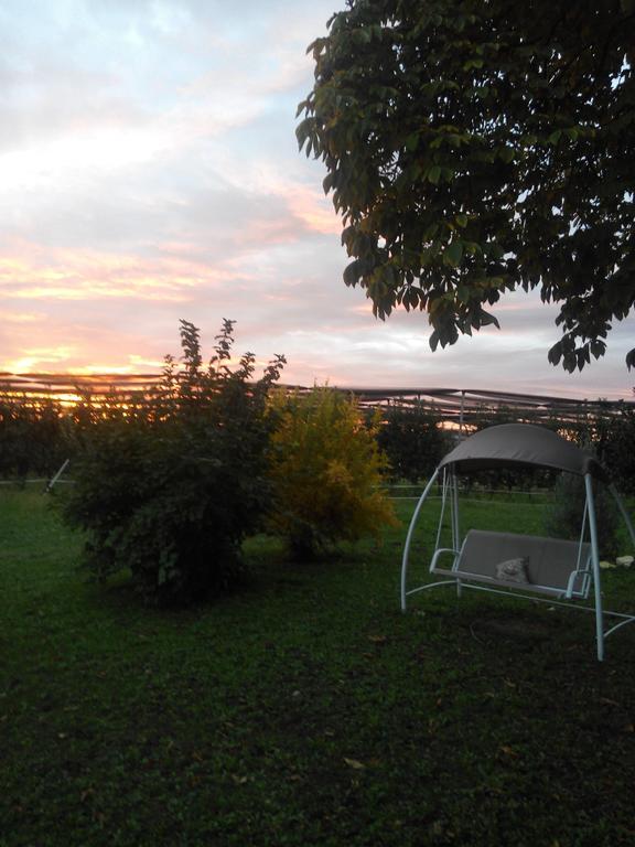 Agriturismo Ca' Del Ferro Zevio Buitenkant foto