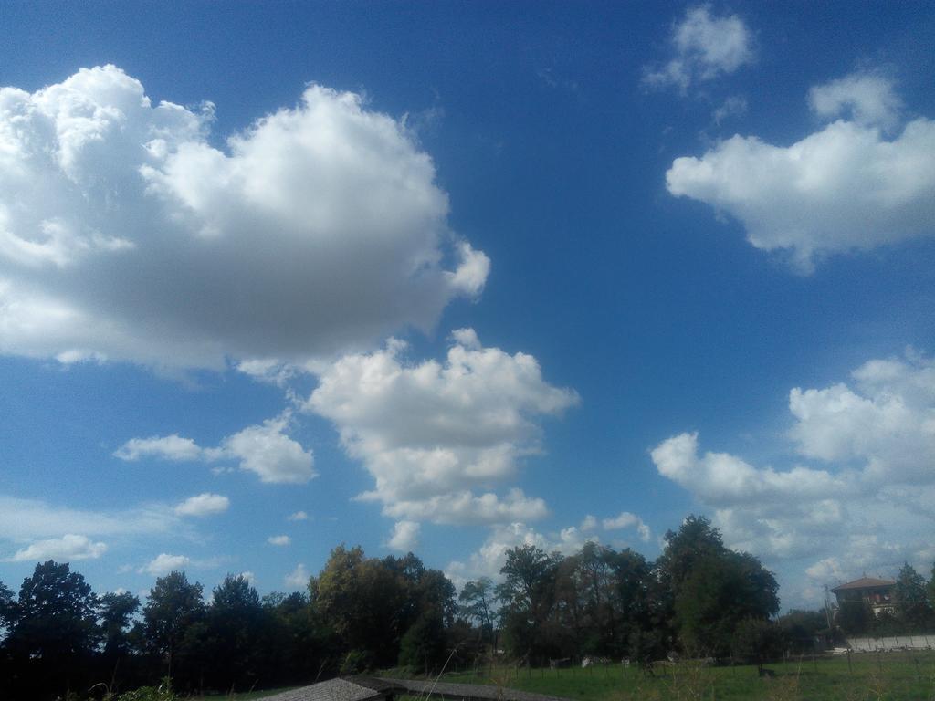 Agriturismo Ca' Del Ferro Zevio Buitenkant foto