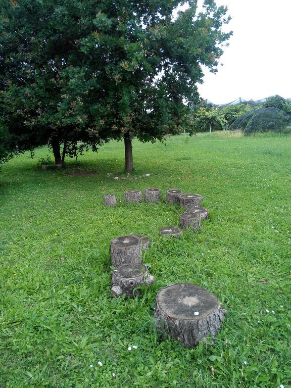 Agriturismo Ca' Del Ferro Zevio Buitenkant foto