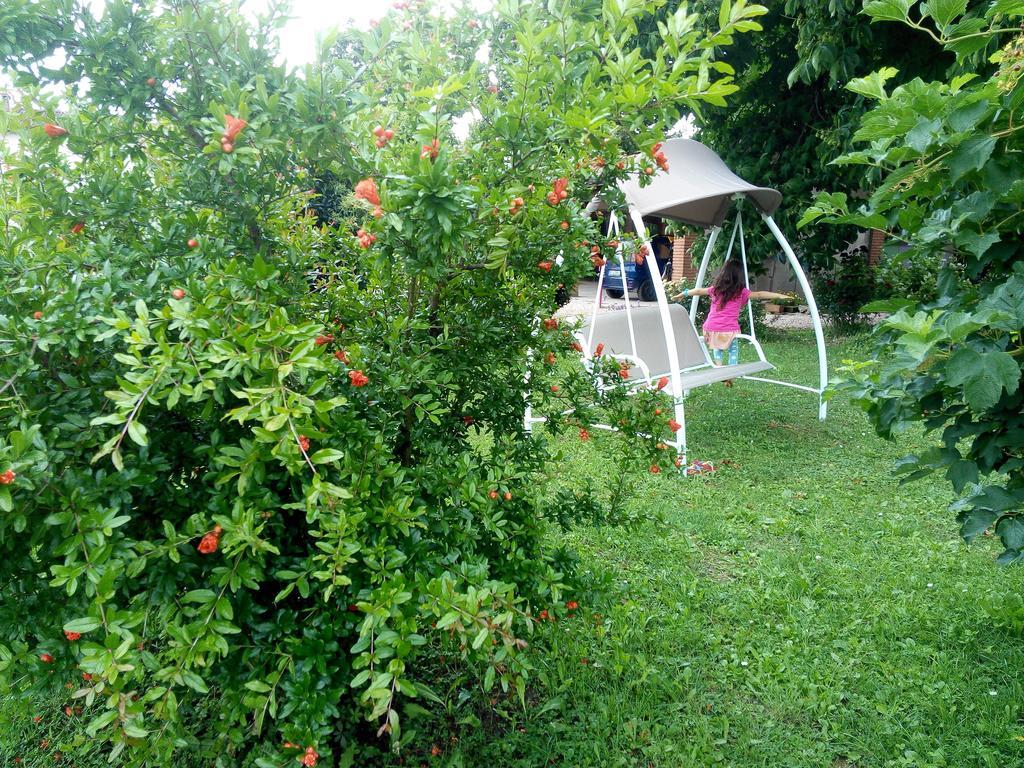 Agriturismo Ca' Del Ferro Zevio Buitenkant foto